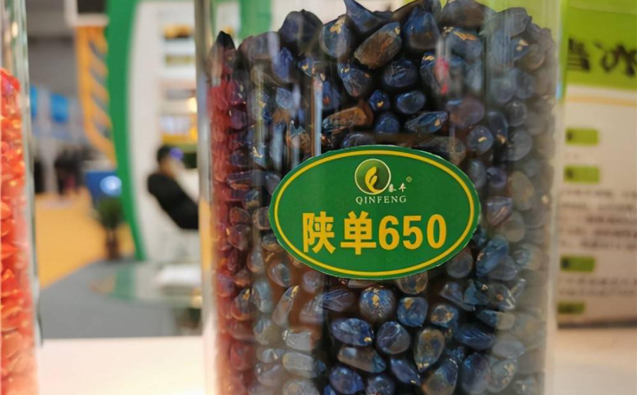 ca888亚洲城(中国)官方网站