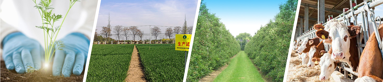 ca888亚洲城(中国)官方网站