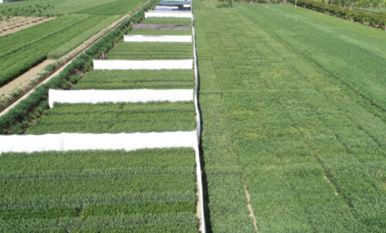 ca888亚洲城(中国)官方网站