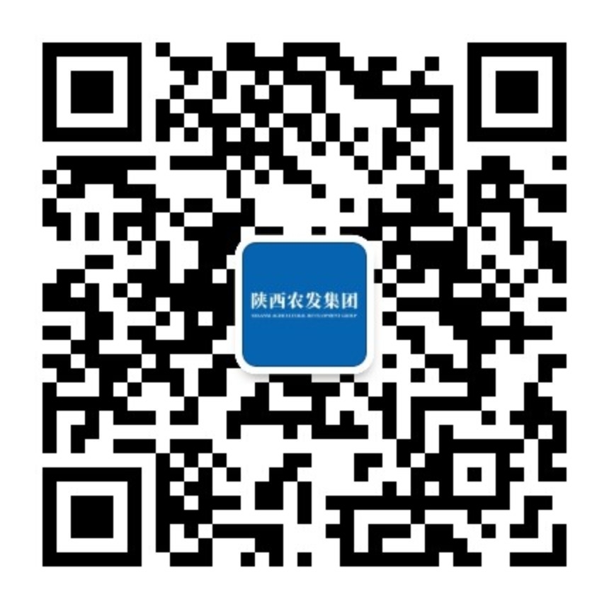 ca888亚洲城(中国)官方网站